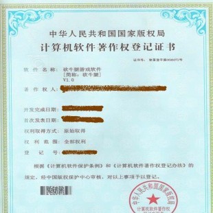 日照市專利申請與版權(quán)代理服務(wù)全解析